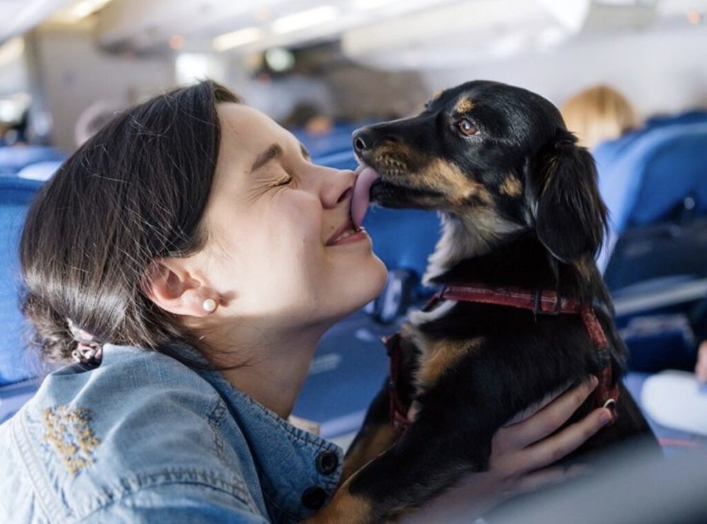 How Dogs Love Us
