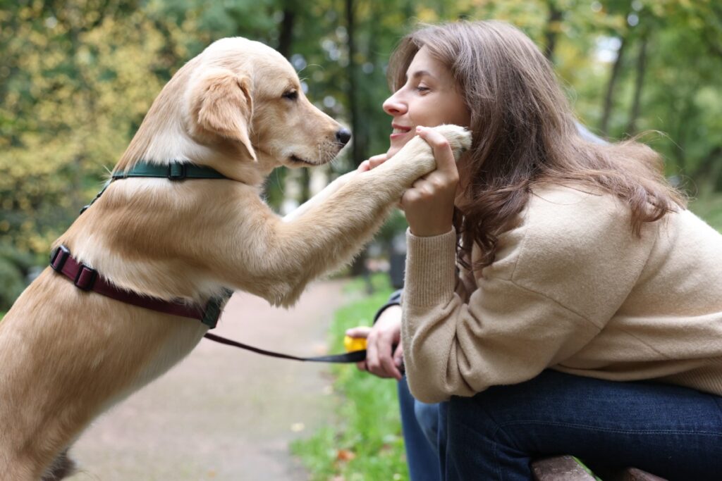 How to Say “Hello” in Dog Language